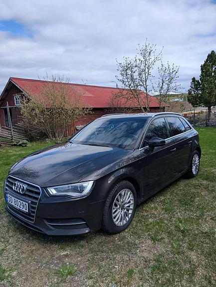 Audi A3 2016 photo 2