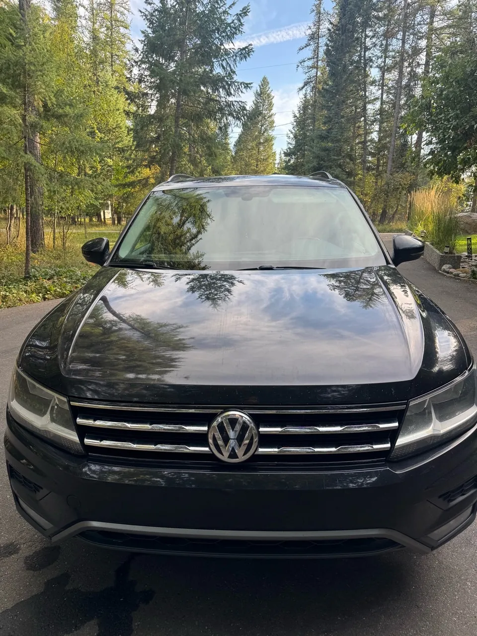 Volkswagen Tiguan 2019 photo 2
