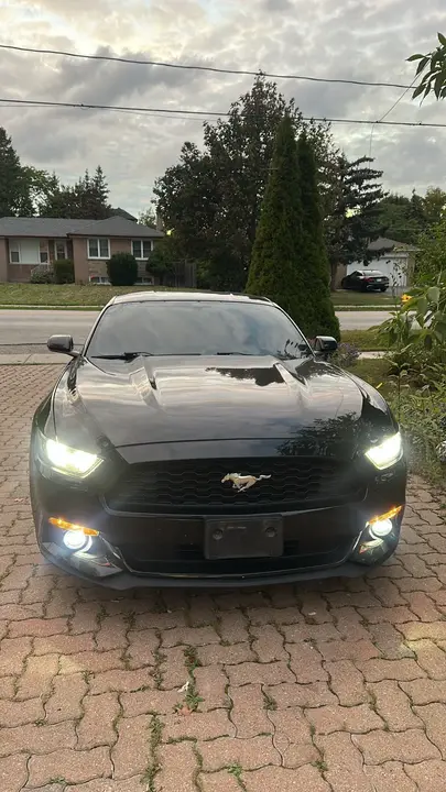 Ford Mustang 2016 photo 3