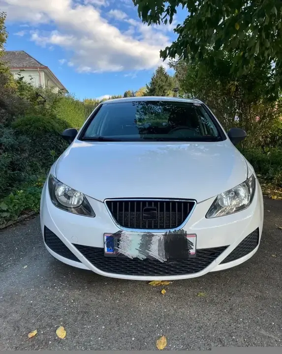 Seat Ibiza Style 2010 photo 2