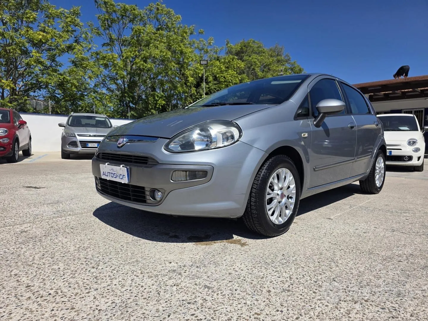 Fiat Punto Evo