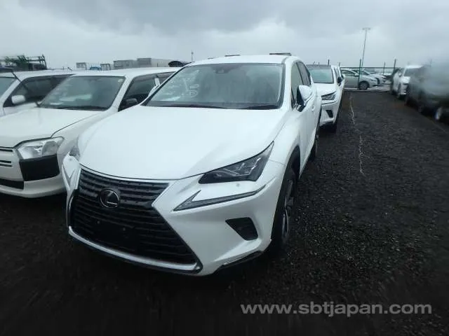 Lexus Nx 2019 photo 2