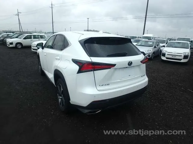Lexus Nx 2019 photo 3