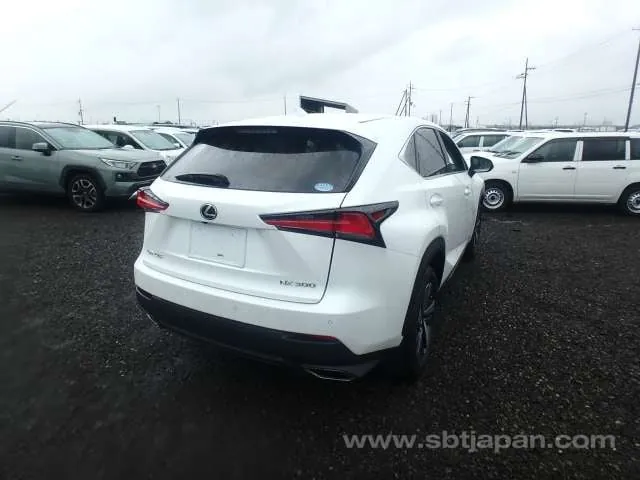 Lexus Nx 2019 photo 4