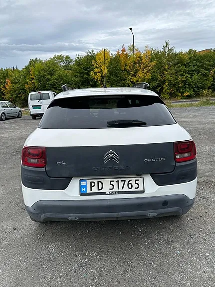 Citroen C4 Cactus 2015 photo 4