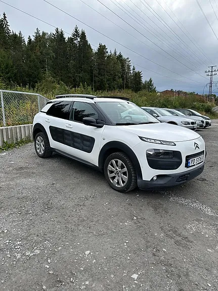 Citroen C4 Cactus