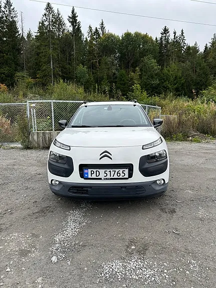 Citroen C4 Cactus 2015 photo 2