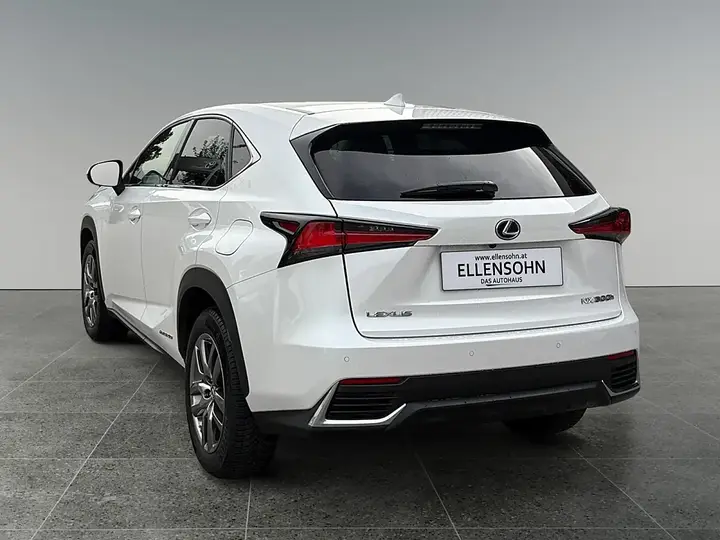 Lexus Nx 2020 photo 3