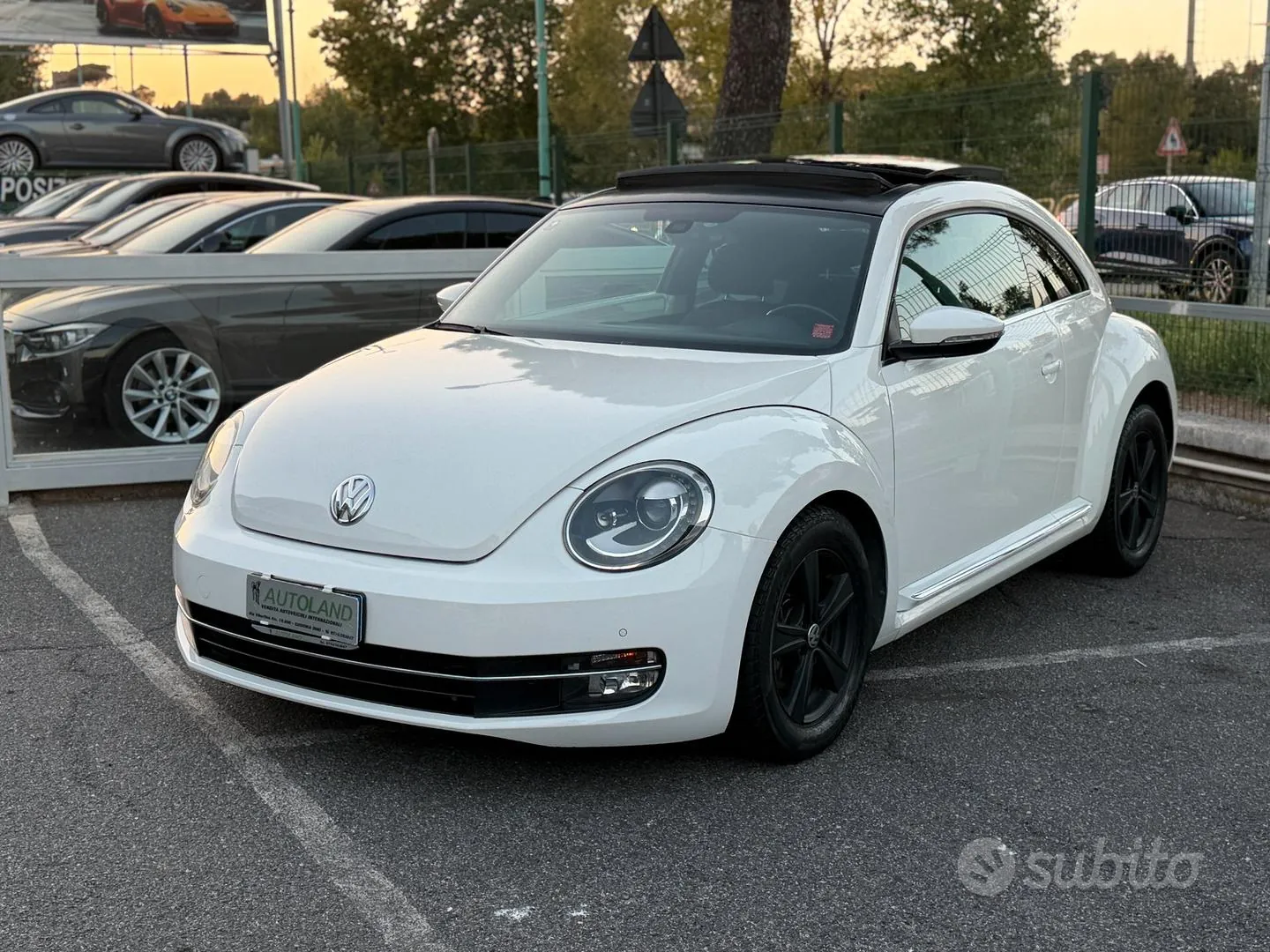 Volkswagen Maggiolino