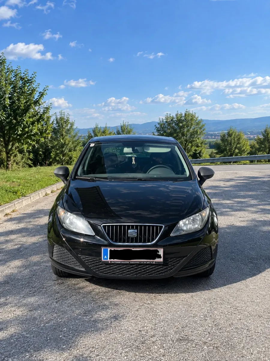 Seat Ibiza 2009 photo 2