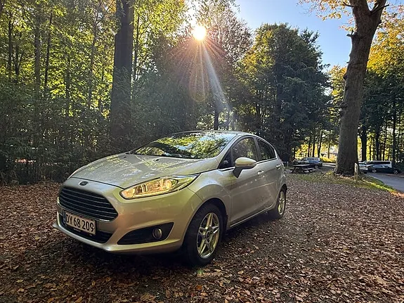 Ford Fiesta 2014 photo 2