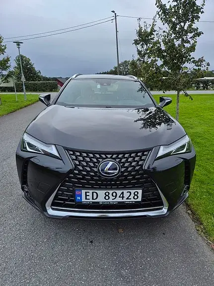 Lexus Ux300E 2022 photo 2