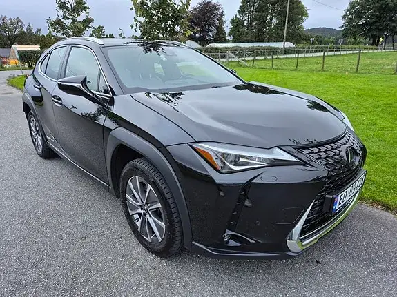 Lexus Ux300E 2022 photo 3
