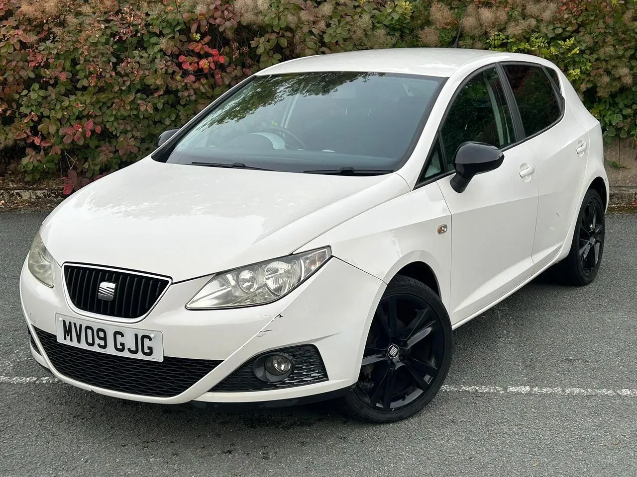 Seat Ibiza 2009 photo 2
