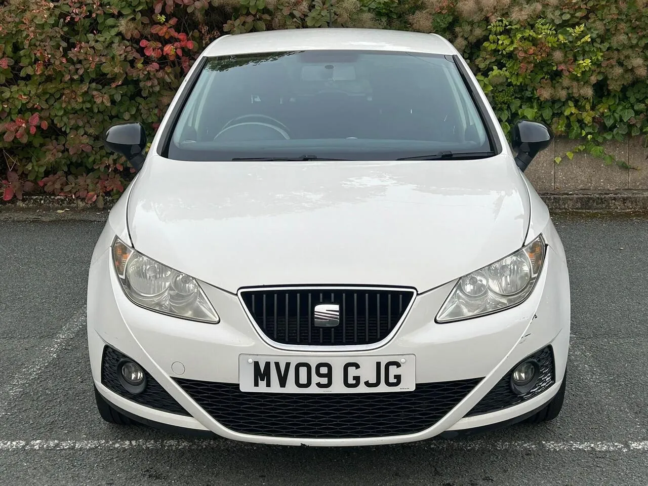 Seat Ibiza 2009 photo 3