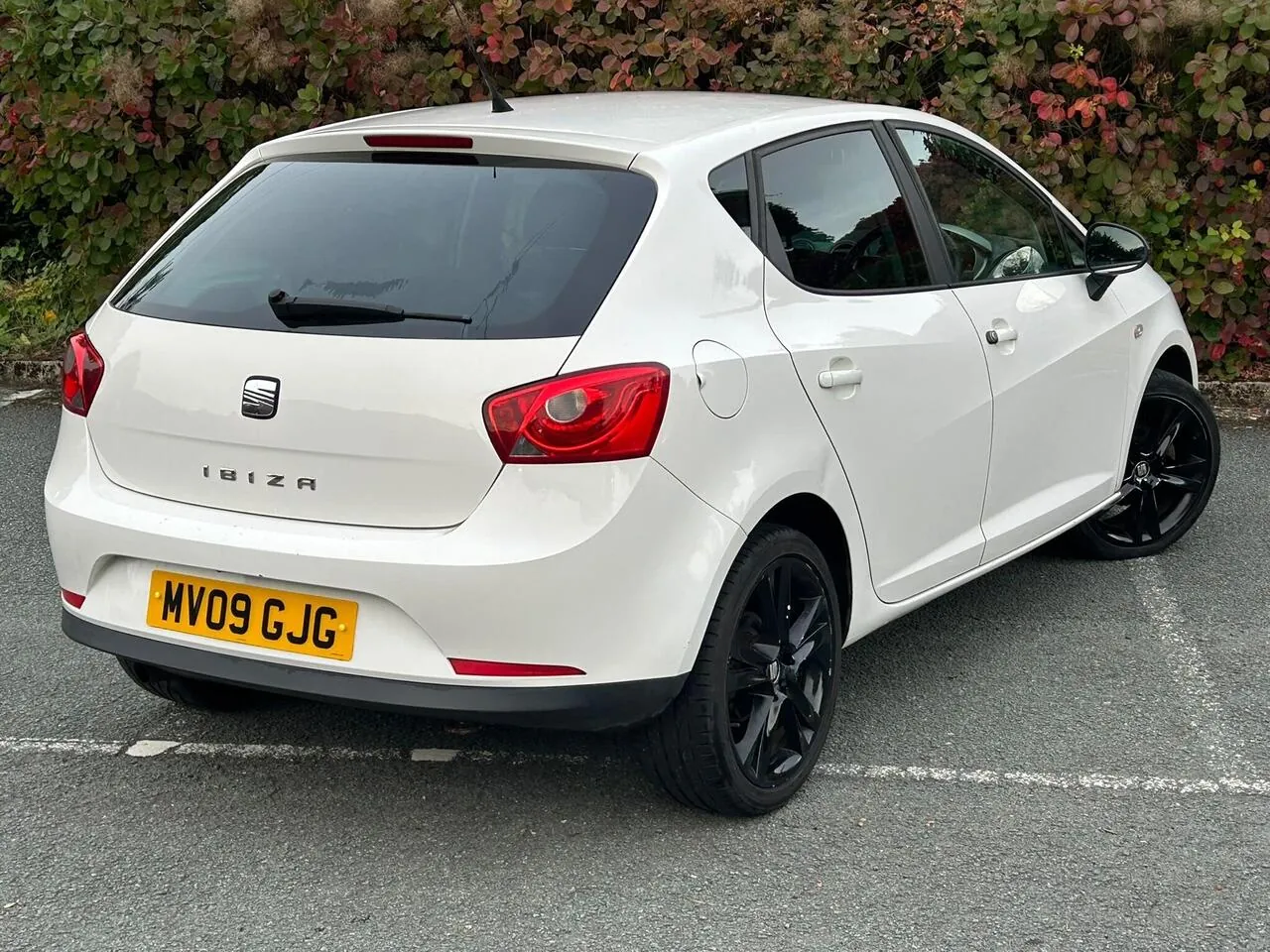 Seat Ibiza 2009 photo 4