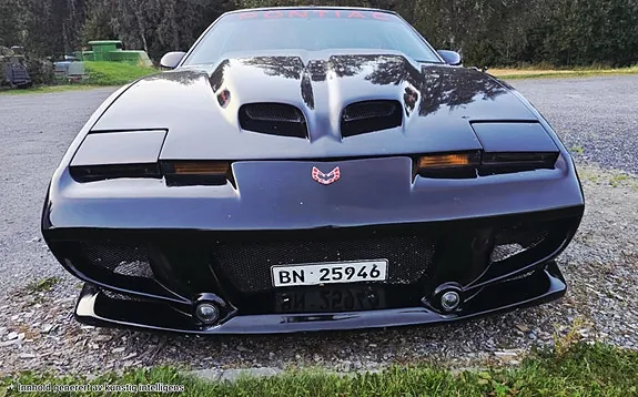 Pontiac Trans Am 1983 photo 2