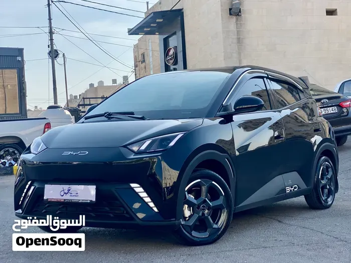 BYD Seagull