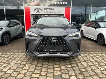 Lexus Nx 2022 photo 2
