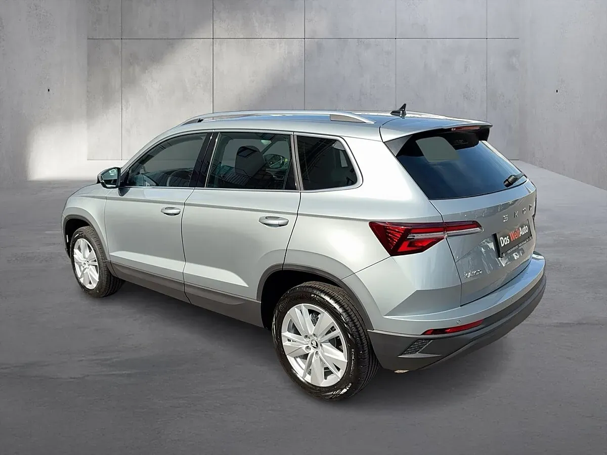 Skoda Karoq 2026 photo 3