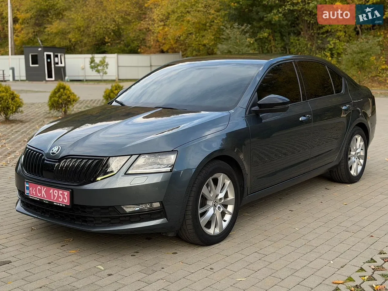 Skoda Octavia 2019 photo 5