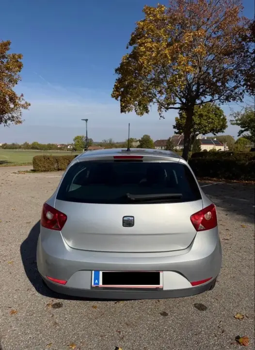 Seat Ibiza 2010 photo 3