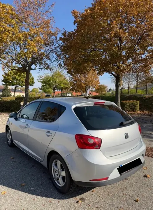 Seat Ibiza 2010 photo 2