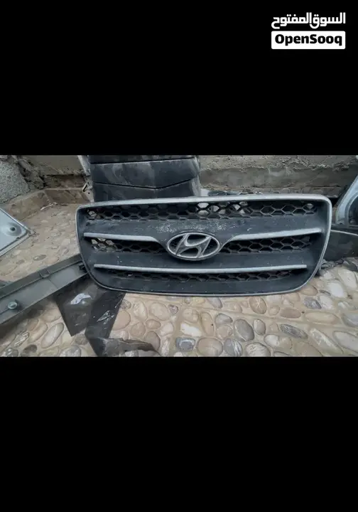 Hyundai Santa Fe 2010 photo 2
