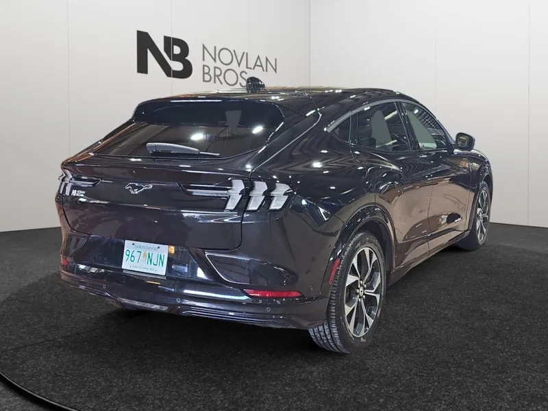Ford Mustang Mach-E 2022 photo 5