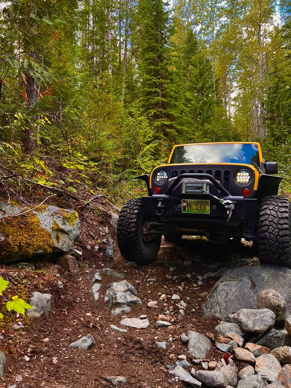 Jeep Wrangler 2009 photo 2