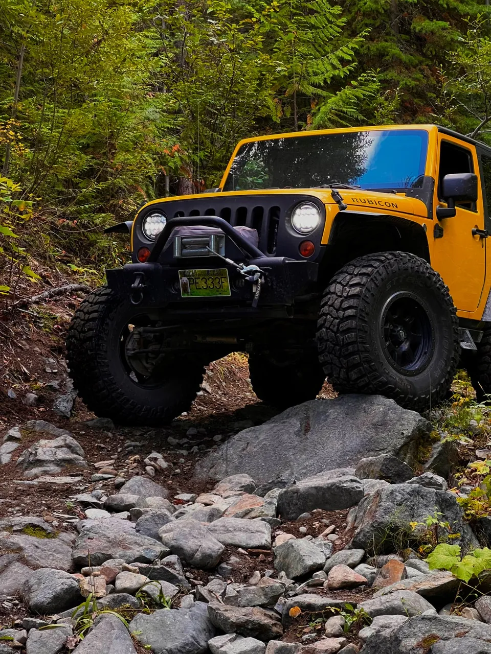 Jeep Wrangler 2009 photo 3