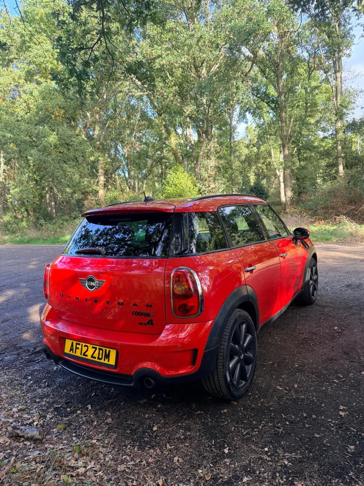 Mini Countryman 2012 photo 5