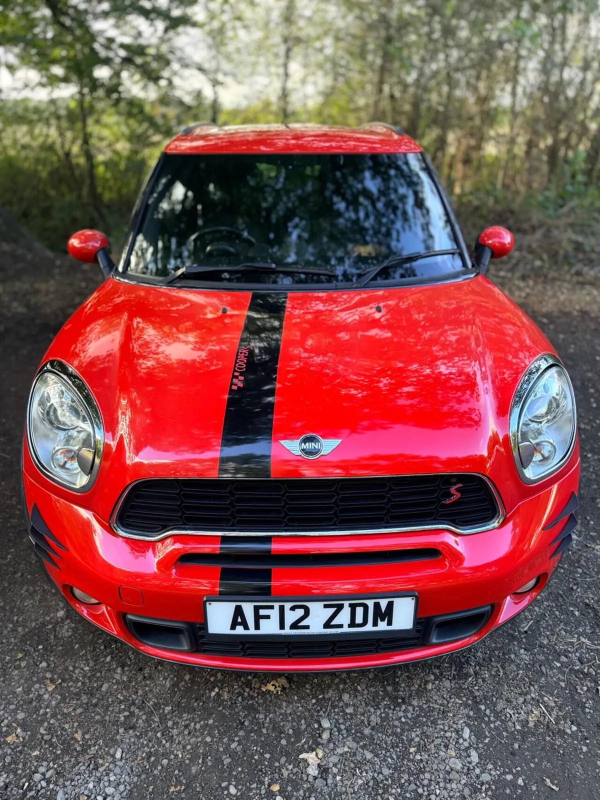 Mini Countryman 2012 photo 3