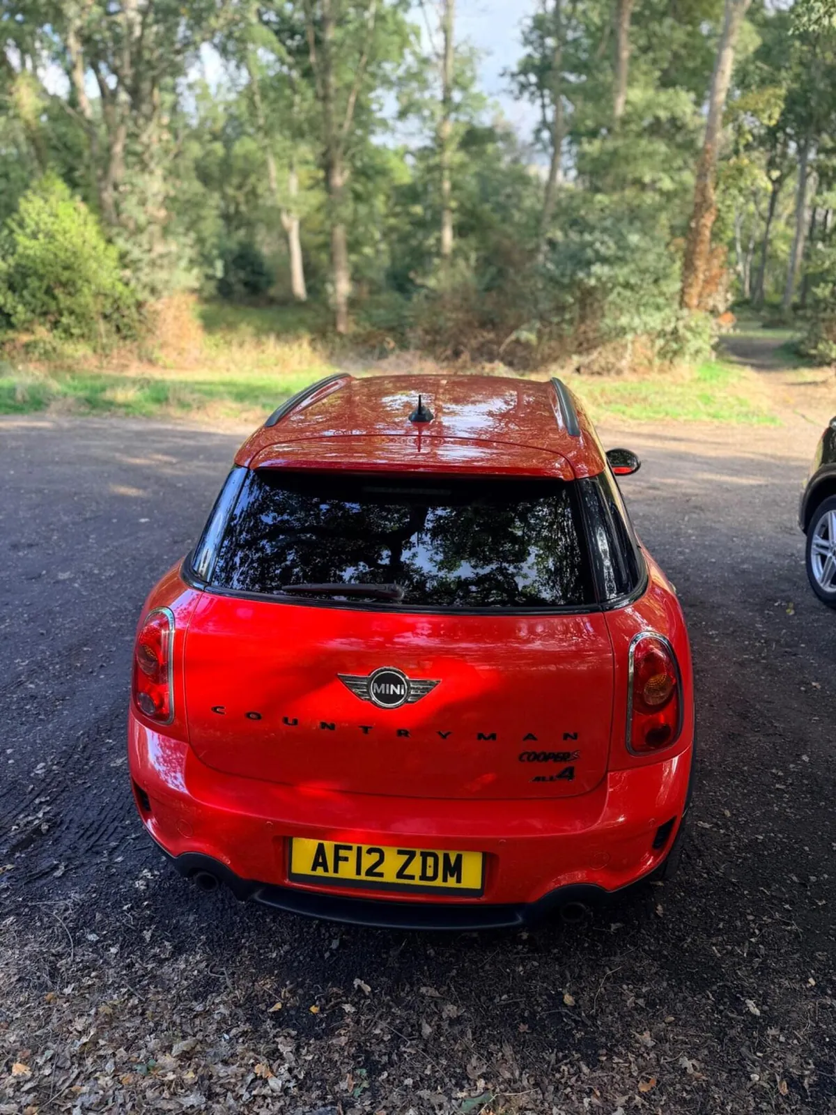 Mini Countryman 2012 photo 4