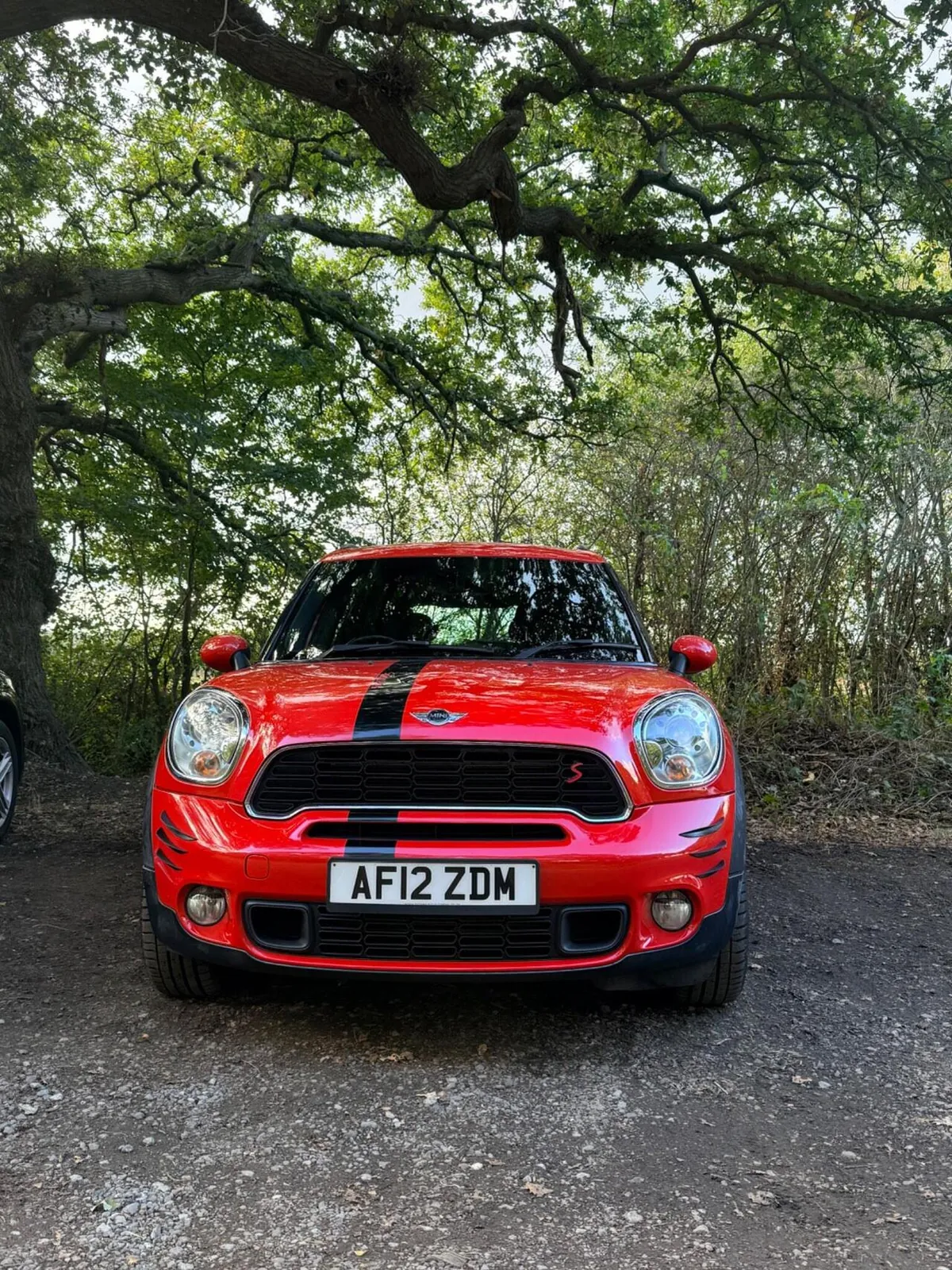 Mini Countryman 2012 photo 2