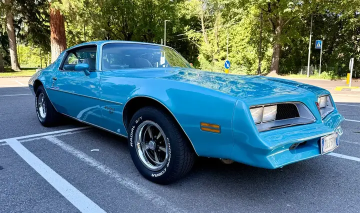 Pontiac Firebird 1978 photo 2
