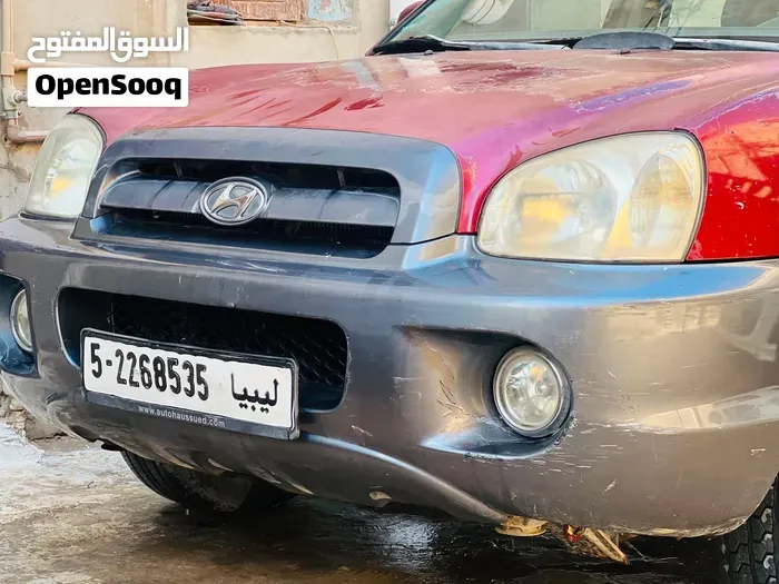 Hyundai Santa Fe 2004 photo 4