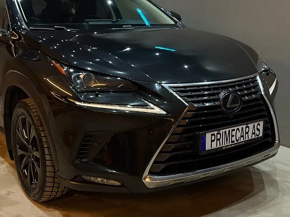 Lexus Nx300H 2019 photo 4
