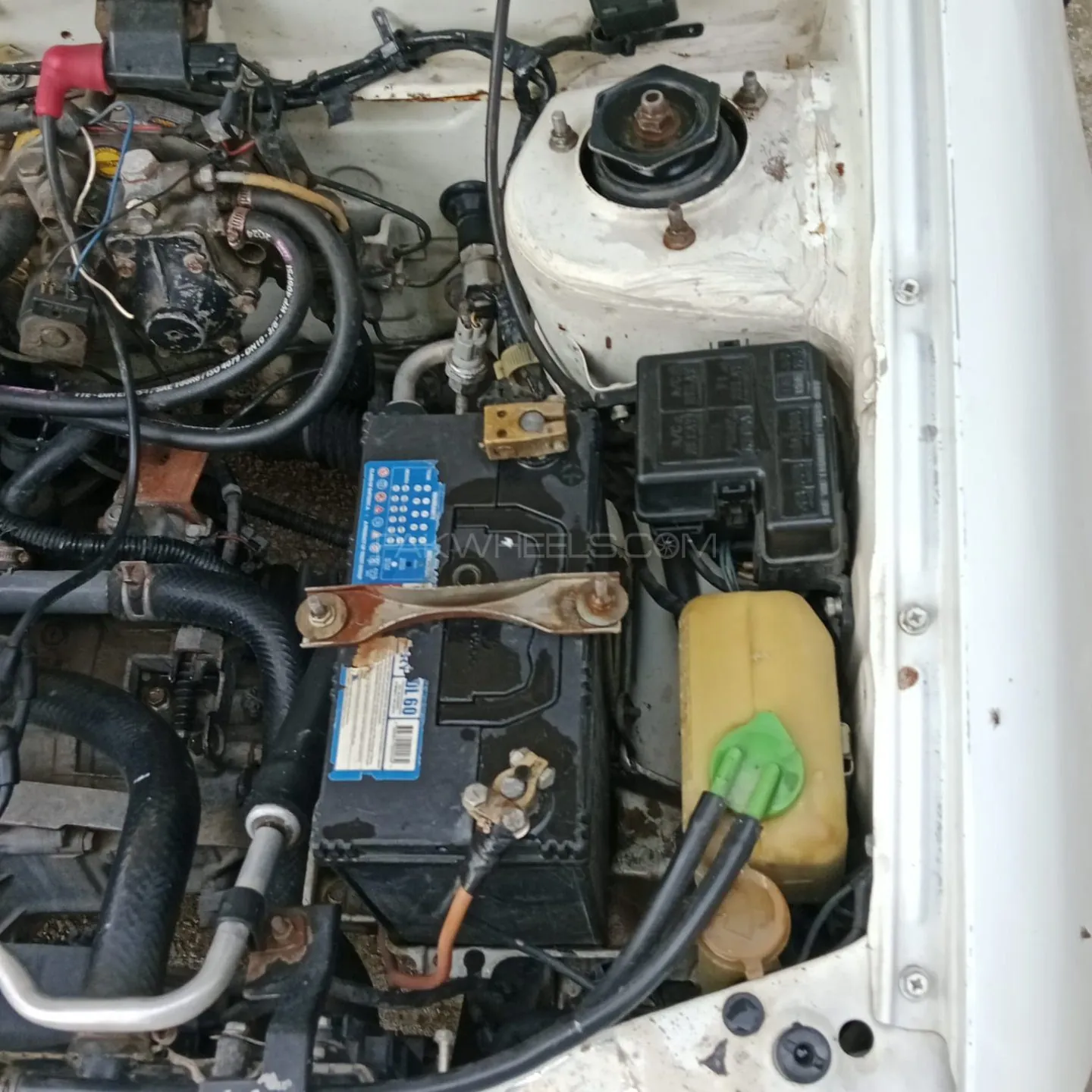 Suzuki Cultus