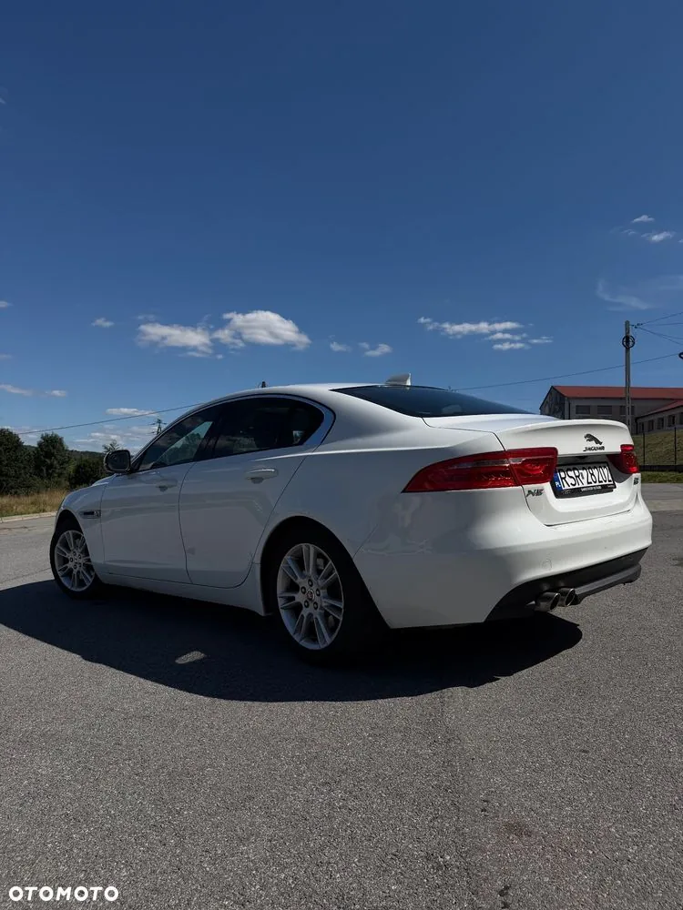 Jaguar Xe 2017 photo 4