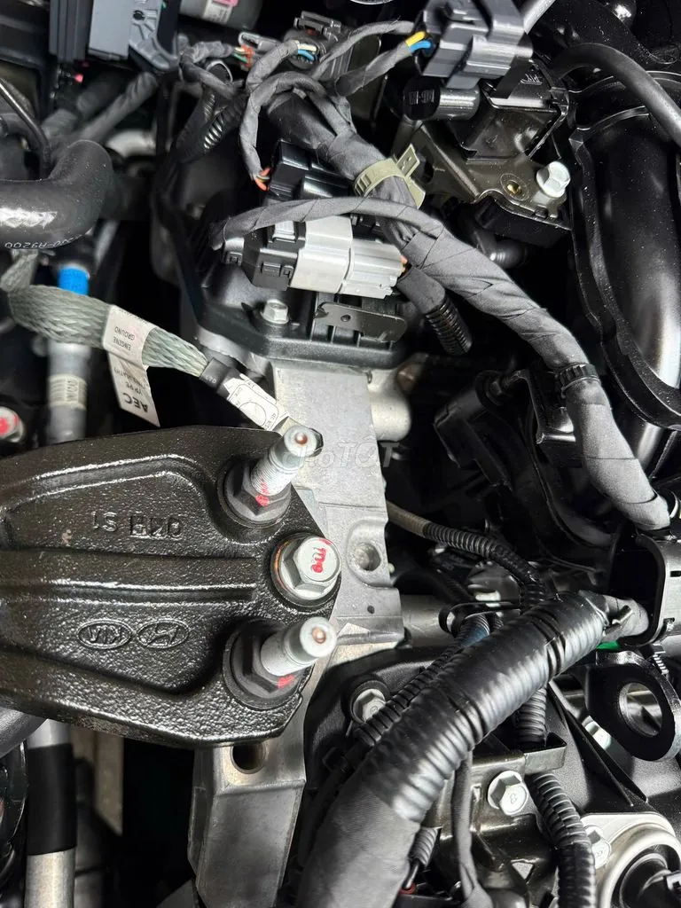 Kia Sedona 2021 photo 5