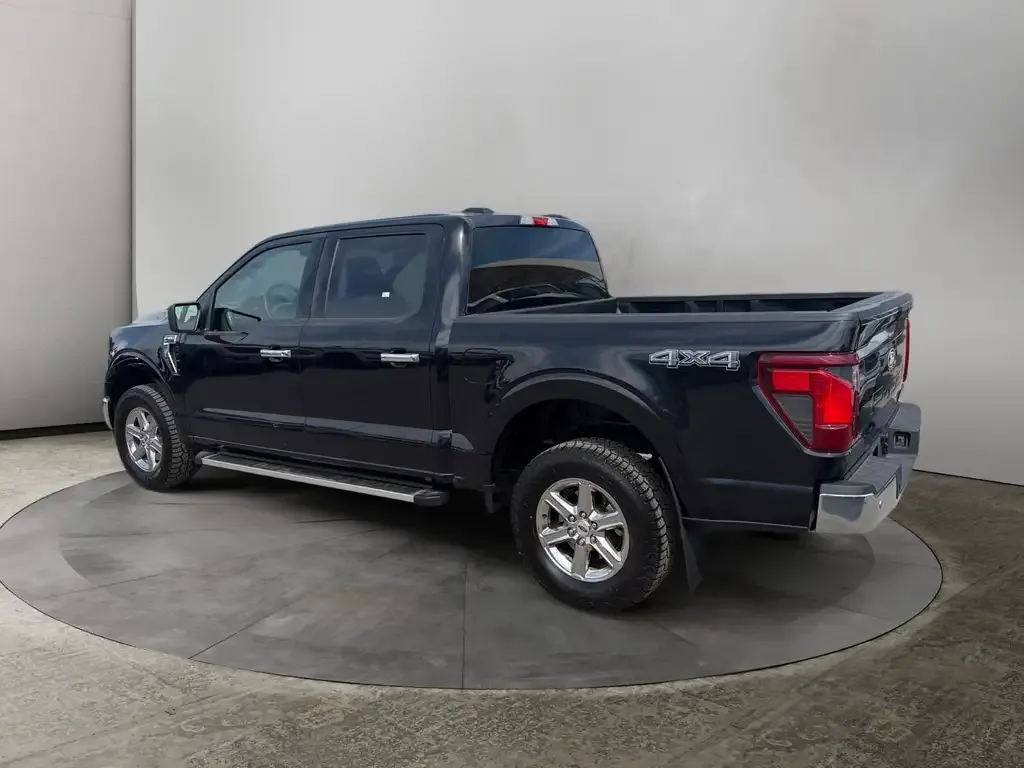 Ford F-150 2025 photo 3