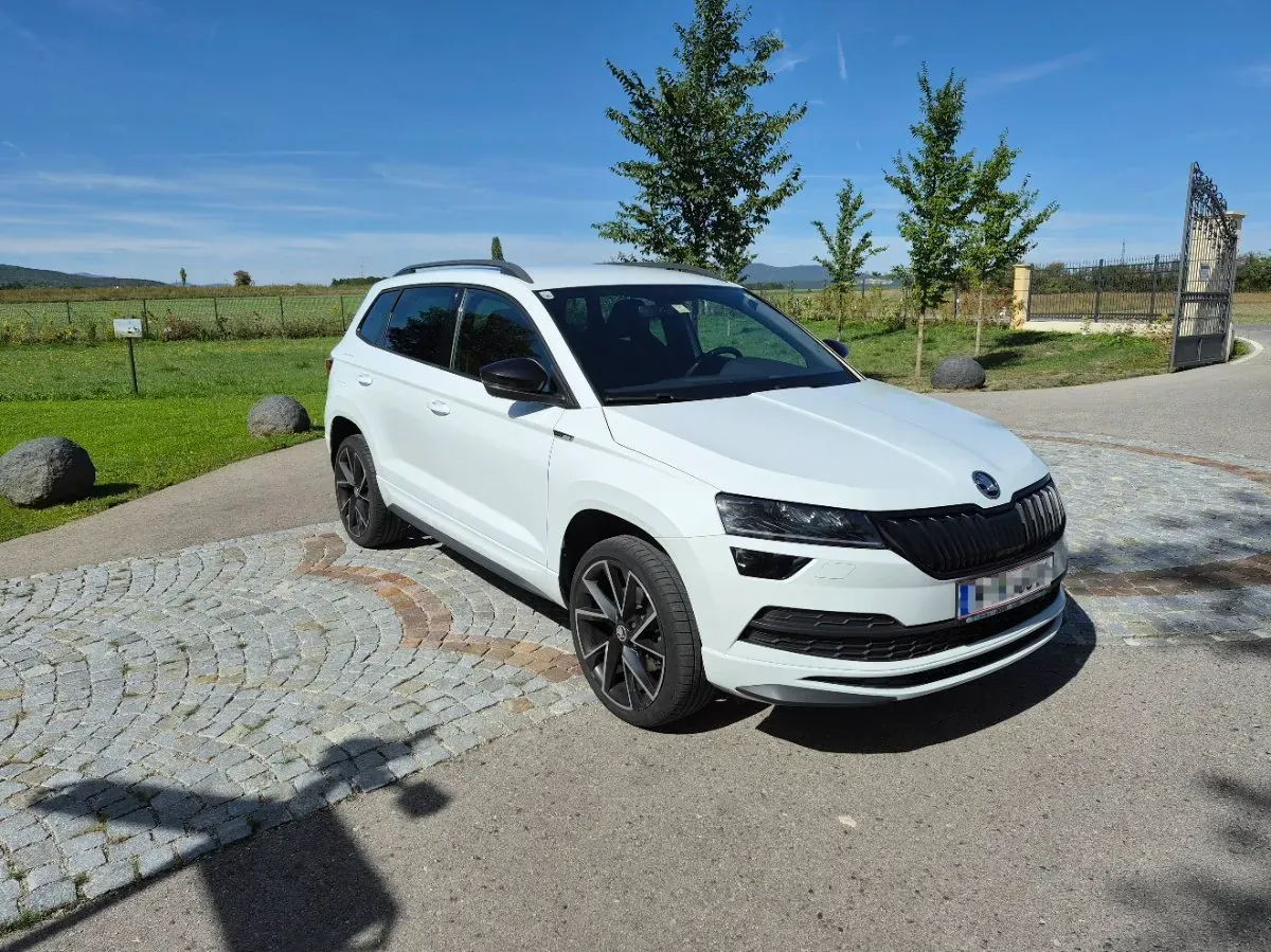 Skoda Karoq 2020 photo 2