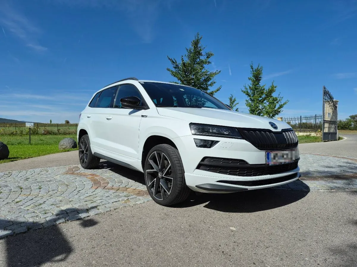 Skoda Karoq 2020 photo 3
