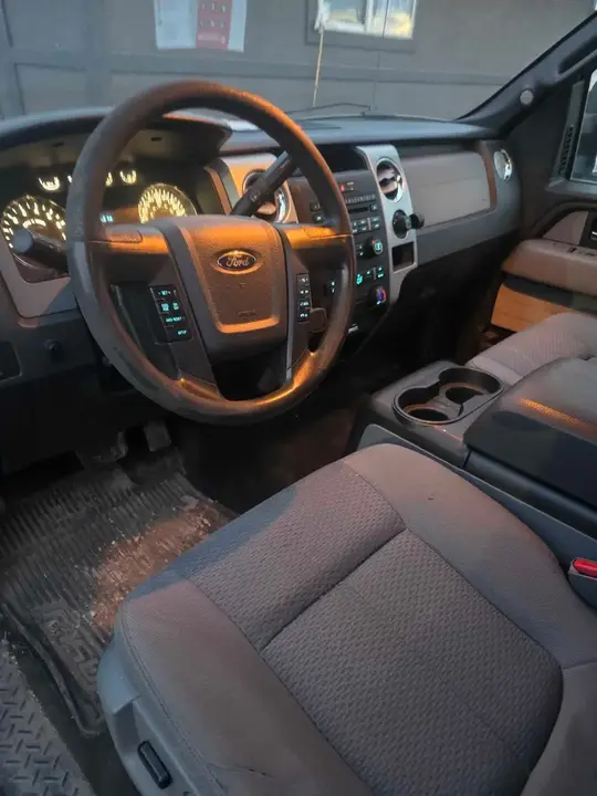 Ford F-150 2014 photo 3