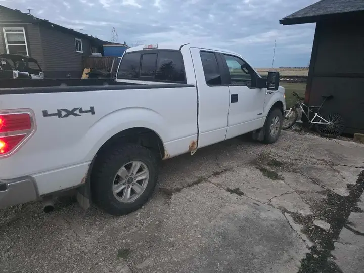 Ford F-150 2014 photo 4
