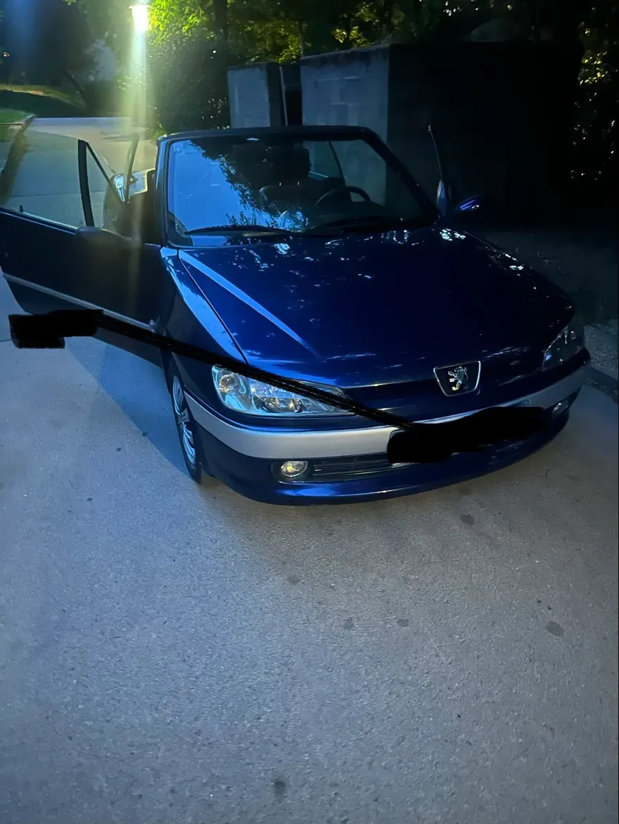 Peugeot 307 2001 photo 2