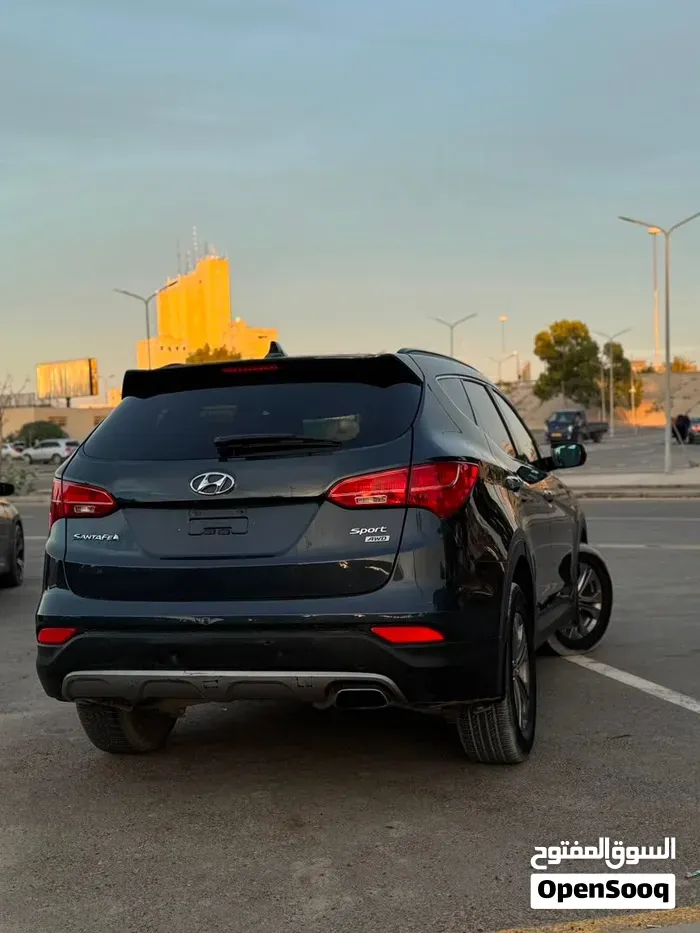 Hyundai Santa Fe 2014 photo 2