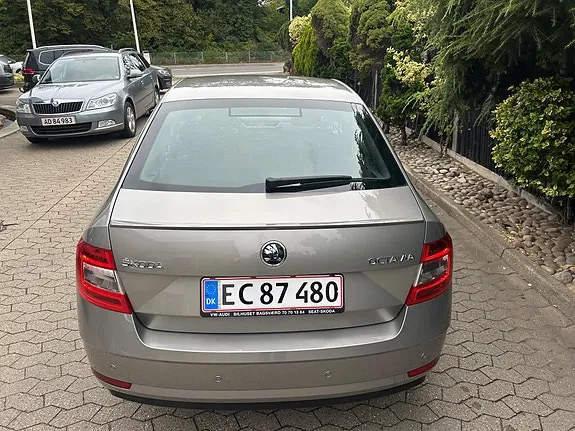 Skoda Octavia 2018 photo 5