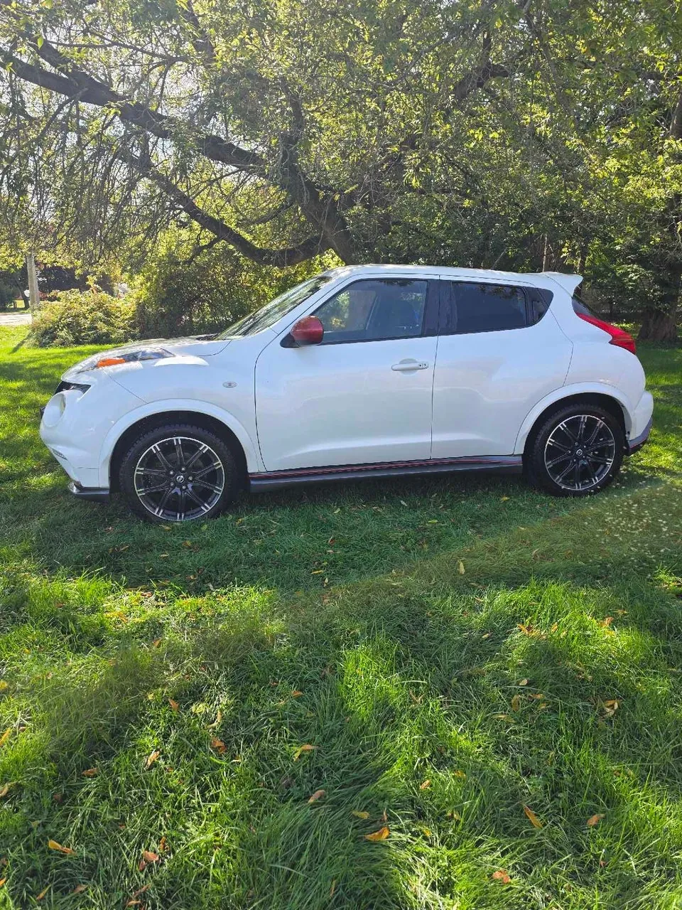 Nissan Juke 2013 photo 4